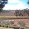 Patly Hill Farm - map