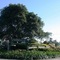 Cooroy Luxury Motel Apartments Noosa - map
