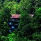 Rainforest Boutique Resort - map