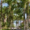 Motu Beachfront Art Villas - map