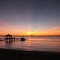 Pulchra - Philippines - map