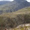 Blue Gum Country Estate - map