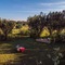Mbweha Camp Lake Nakuru - map
