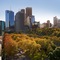Quest Jolimont - map