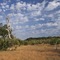 The Retreat Selous - map