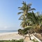 Baobab Sea Lodge - map