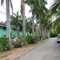 Tropical Gardens - map