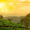 Clouds Valley Leisure Hotel - map