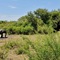 Motswiri Private Safari Lodge - map