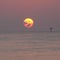 Key West Sailing Adventure With Sunset Charter Included - map