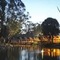 Billabong Camp - map