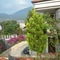 Elios Residence - map