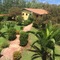 Agriturismo Baratz - map