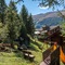 Park Chalet Village - map