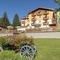 Alpino Family Wellness Hotel - map