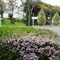 Blenheim Bridges Holiday Park - map
