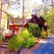 Always Inn Idyllwild Vacation Cottages - map