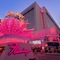 Flamingo Hotel - map