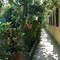 Albergo Residence Villa a Mare - map