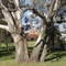 Serafino Mclaren Vale - map