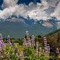 Glenorchy Peaks B&B - map