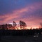 Holiday Inn Club Vacations Villages Resort At Lake Palestine By Ihg - map