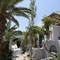 Albatros Club Mykonos - map