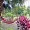 Eden Jungle Resort - map