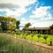 Surval Boutique Olive Estate - map