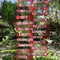 Sapulidi Resort Spa & Gallery - map