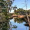 Saintys Creek Cottage - map