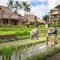 Visesa Ubud Resort - map