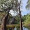 Hornbill Lodge - map