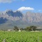 Seven Oaks Vineyard Cottages - map