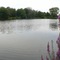 Walden On The Pond Hotel - map
