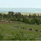 Parade Rest Ranch - map