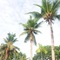 Shell Villa Apartel Resort - map