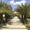 San Remo Oasis Serviced Apartments - map