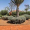Dar Sofil - Adults Only - map
