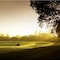 Ponderosa Golf & Country Resort - map