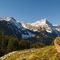 Griesalp Hotels - map