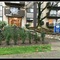 Pelicanstay in Burnaby Lake - map