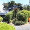 Rhyll Haven Luxury Apartments And B&B - map