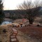 Clydesdale On Lions River - map