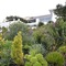 Vilacqua Boutique Guest Villa - map