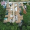 Inspire Villas Phuket - map