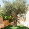 Villa Blue Coast Lagonissi - map