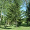 Camping Rio Verde - map