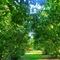 B&B Naturin - Cascina Colombaro - map