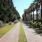 Calimera  Delfino Beach Resort & Spa - All inclusive - map